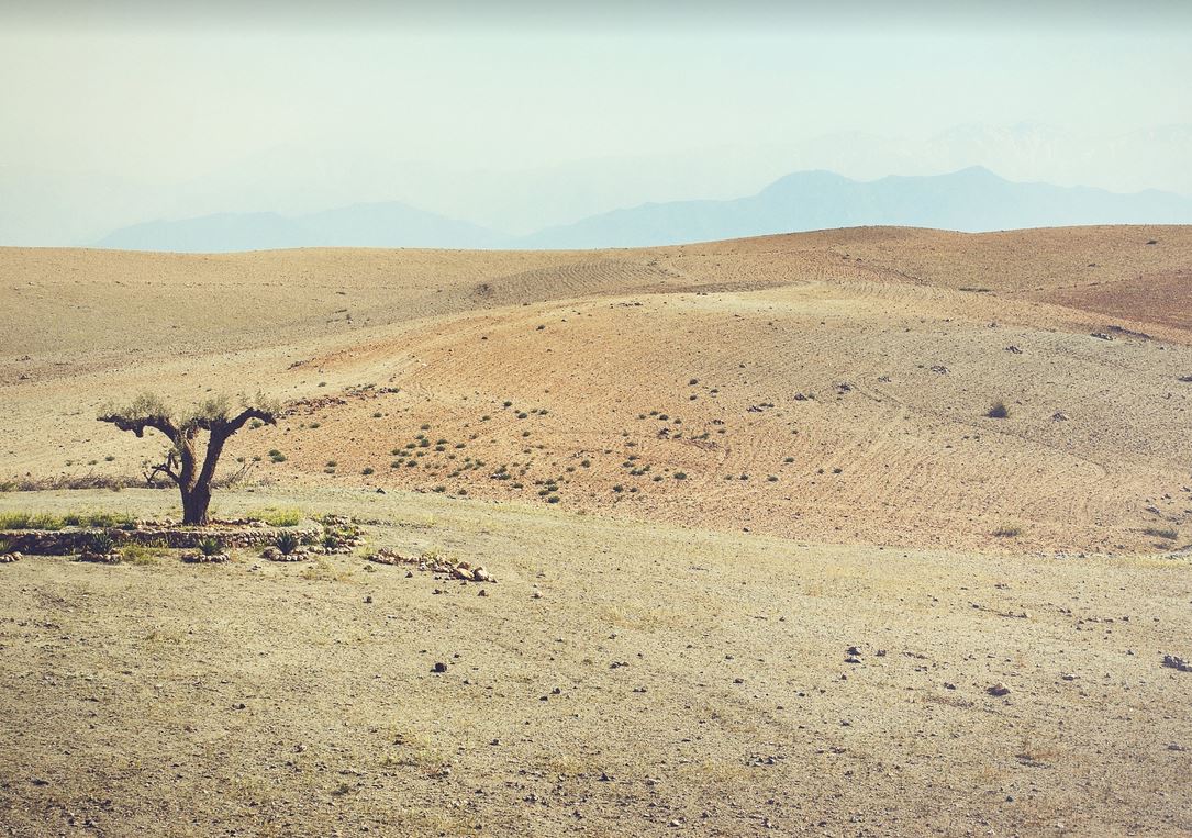 Explore the Agafay Desert: A photography guide to capturing the ...